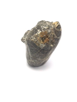 Pubis, 2021, limestone frome Elbingerode (DE) 