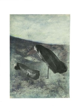 Epierrement, 2021, magazine pictures, vegetable oil, natural pigments