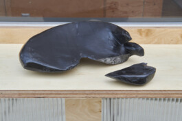 Sacha Rappo, fracture-croissant 2, 2022