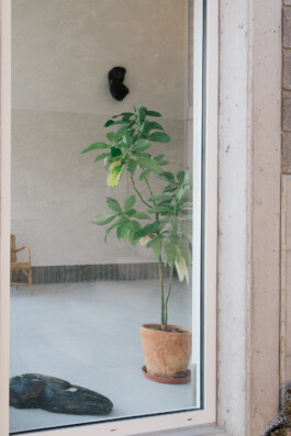 Sacha Rappo, détail réfractaire, 2024