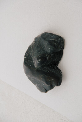 Sacha Rappo, détail réfractaire (flanc), 2024