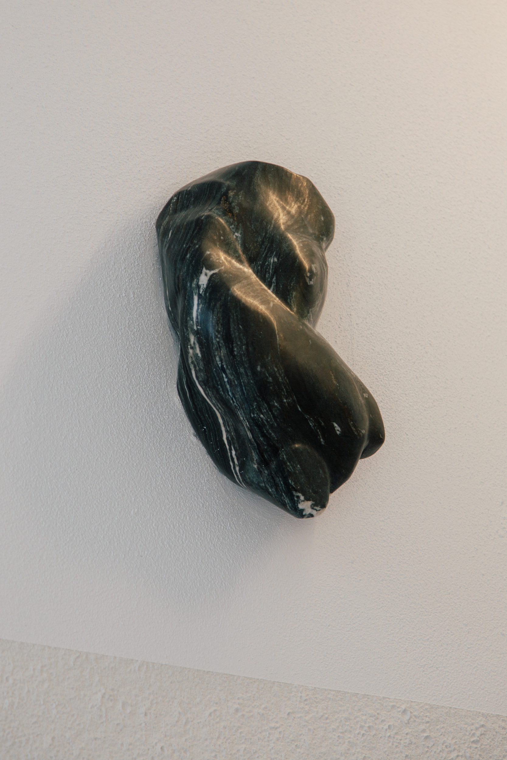 Sacha Rappo, détail réfractaire (flanc), 2024